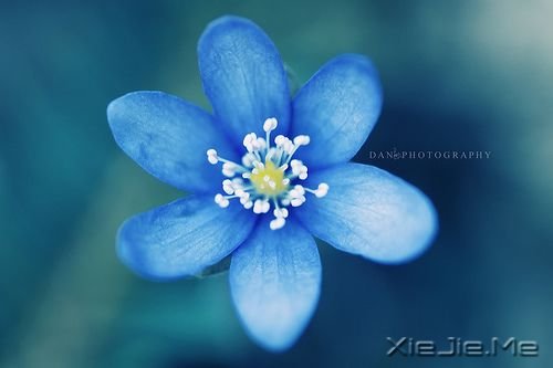 千万不要因为走的太久,而忘记了我们为什么出发 (3)