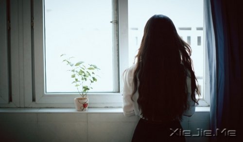 û���۵ĺ��ӣ�ʼ��Ҫ�Լ�����һƬ��� (8)