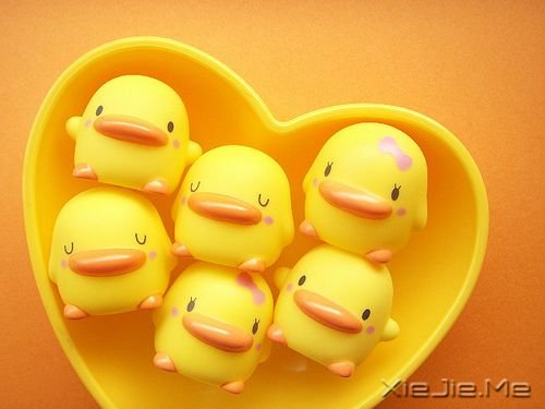 �簲����ղ�ס��ɳ������������ (2)